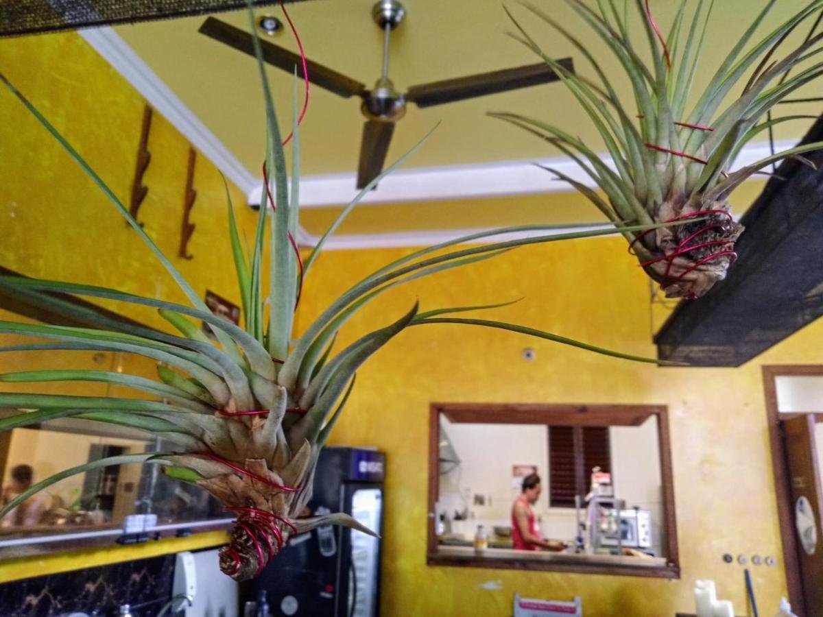 The Lighthouse At Casa Max Hotel Bocas Town Bagian luar foto